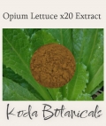 Opium Lettuce 20:1 Extract Powder 20g